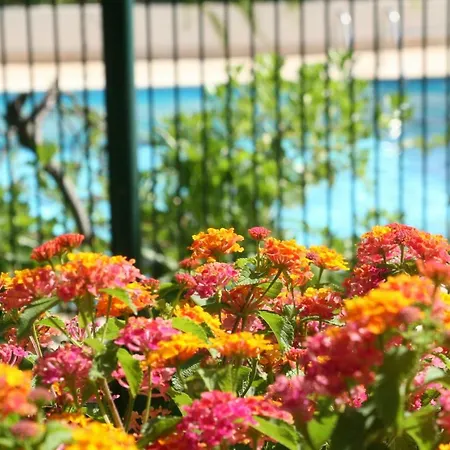 Le Fabrina Riviera Appartement Nice